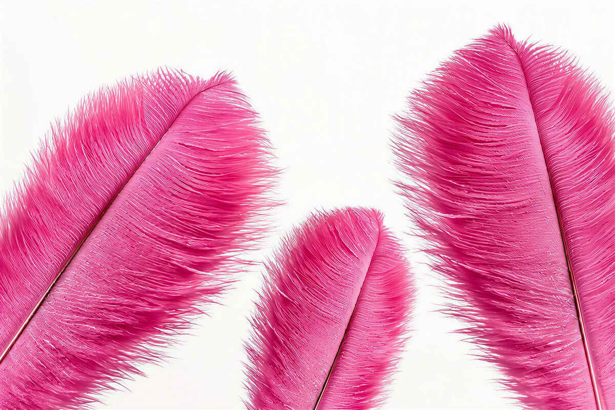 Fotobehang roze veren op een lichte achtergrond delicaat voor de slaapkamer