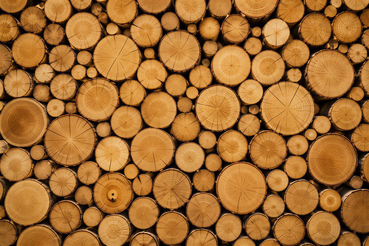 Fotobehang lichte houten plakken op beige achtergrond Scandinavisch