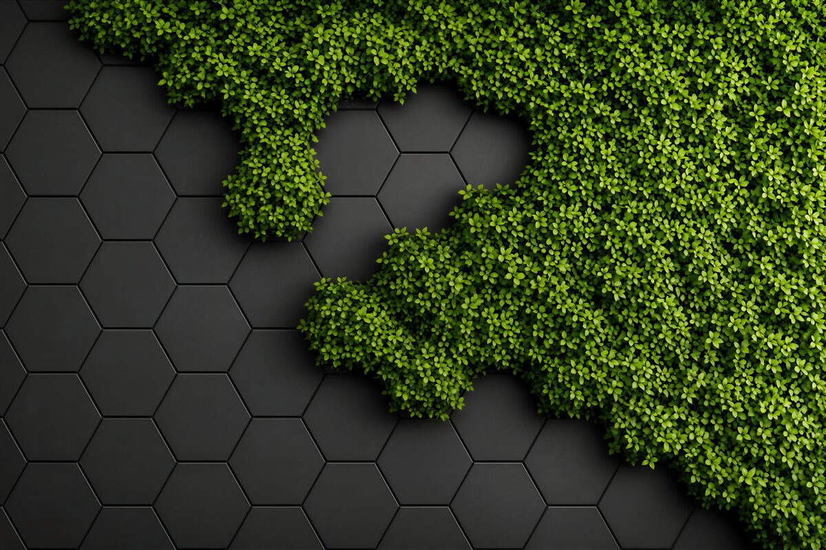 Fotobehang groene mos bedekt een steen