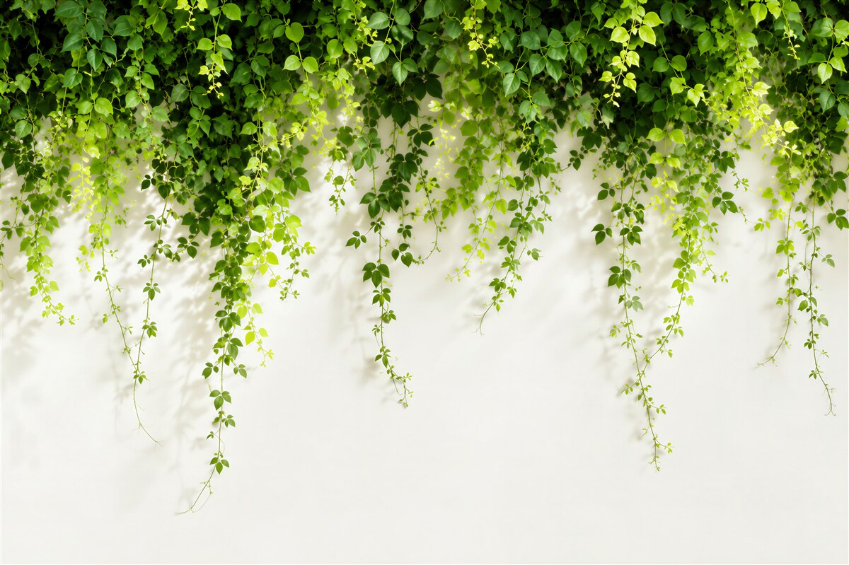 Fotobehang lichtgroene hangplanten