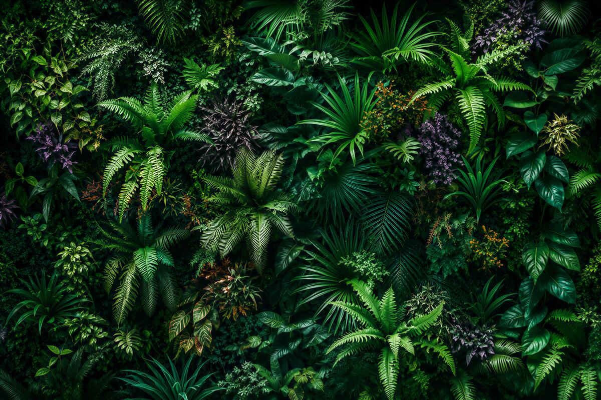 Fotobehang natuur van de tropische jungle