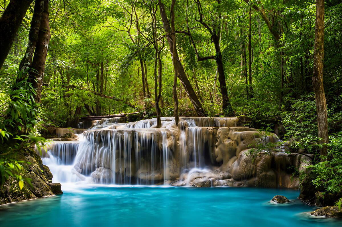 Fotobehang waterval in een groen bos