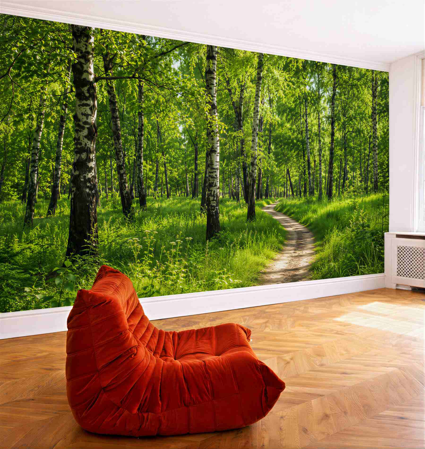 Fotobehang pad door een berkenbos
