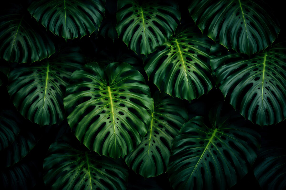Fotobehang grote groene palmbladeren