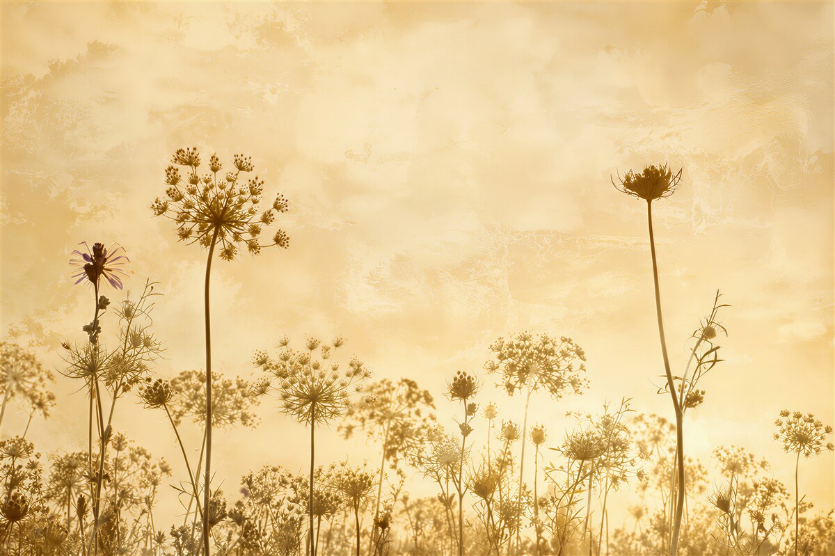 Fotobehang veldbloemen op gouden achtergrond delicate weiland
