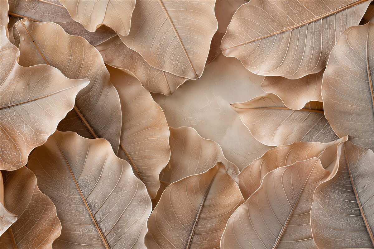 Fotobehang transparante beige bladeren subtiele plantaardige abstractie