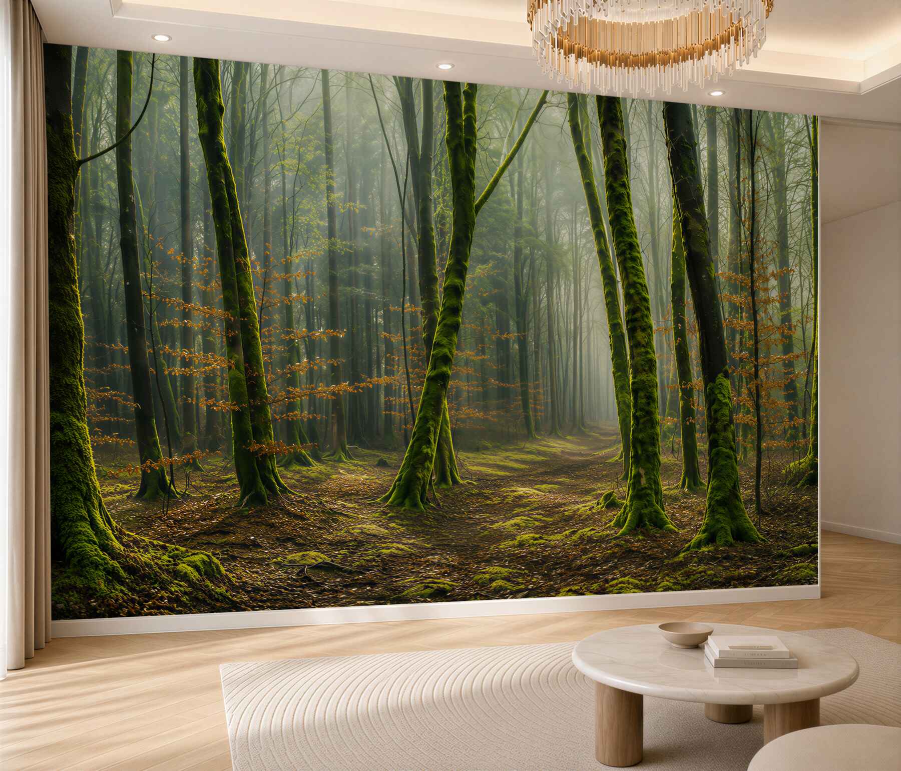 Fotobehang groene bos met een pad in de zonnestralen