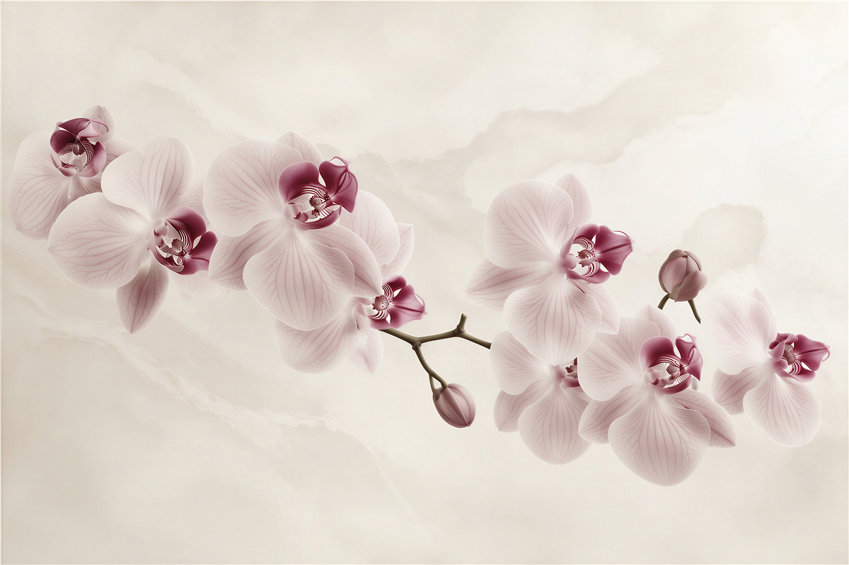 Fotobehang poederroze orchideeën op lichte achtergrond elegant voor de slaapkamer