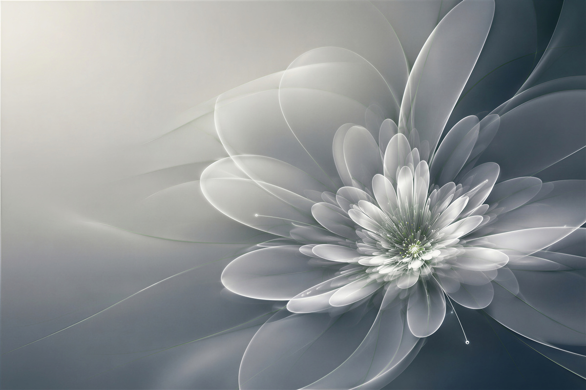 Fotobehang abstracte witte bloem op grijze achtergrond modern