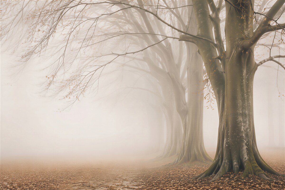 Fotobehang bomenlaan in de mist beige boslandschap voor de woonkamer