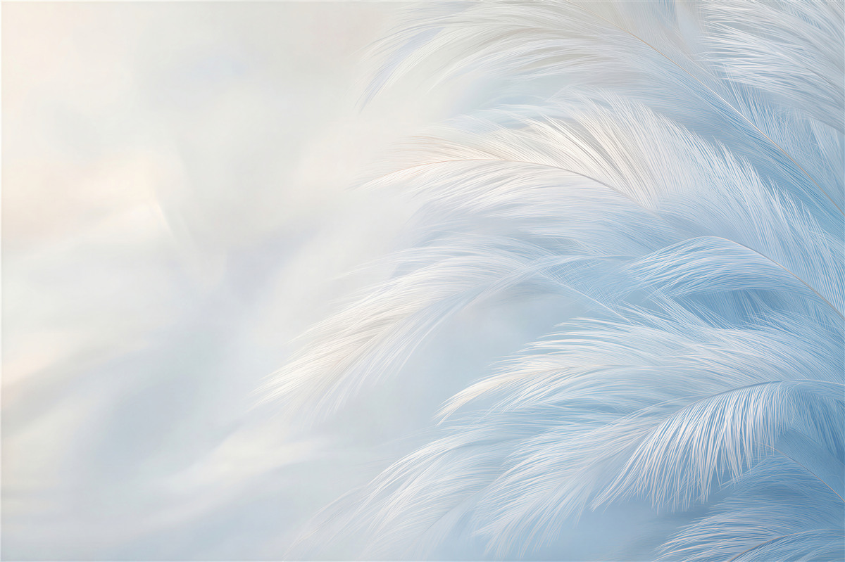 Fotobehang delicate witte veren op een blauwe achtergrond voor een elegante slaapkamer