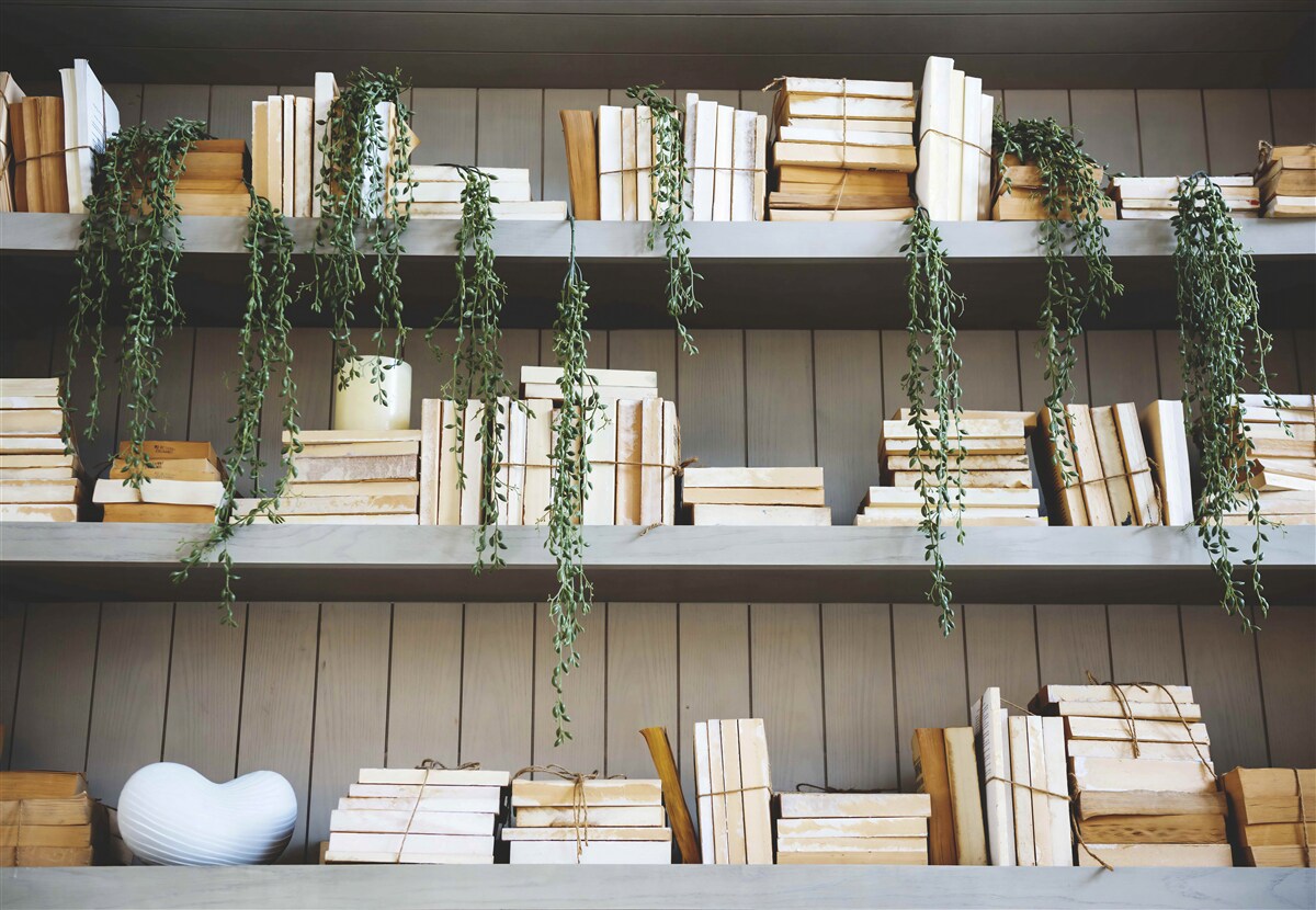 Fotobehang gezellige planken voor boeken en kruiden