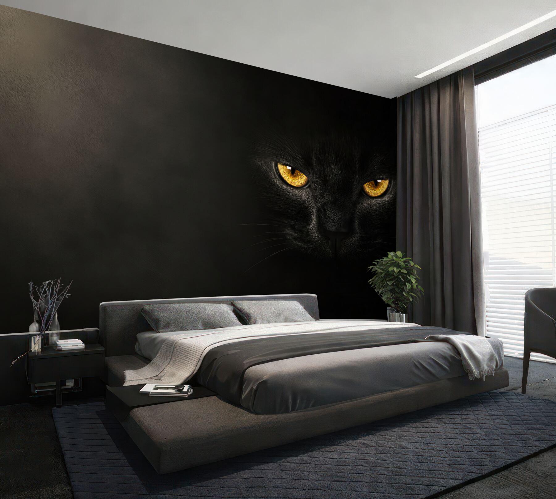 Fotobehang doordringende blik van een zwarte kat