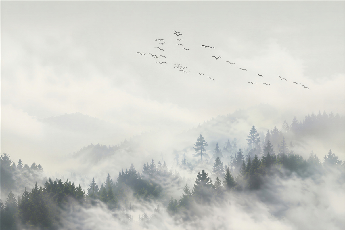 Fotobehang een groep vogels zoekt een warme plek in de mist