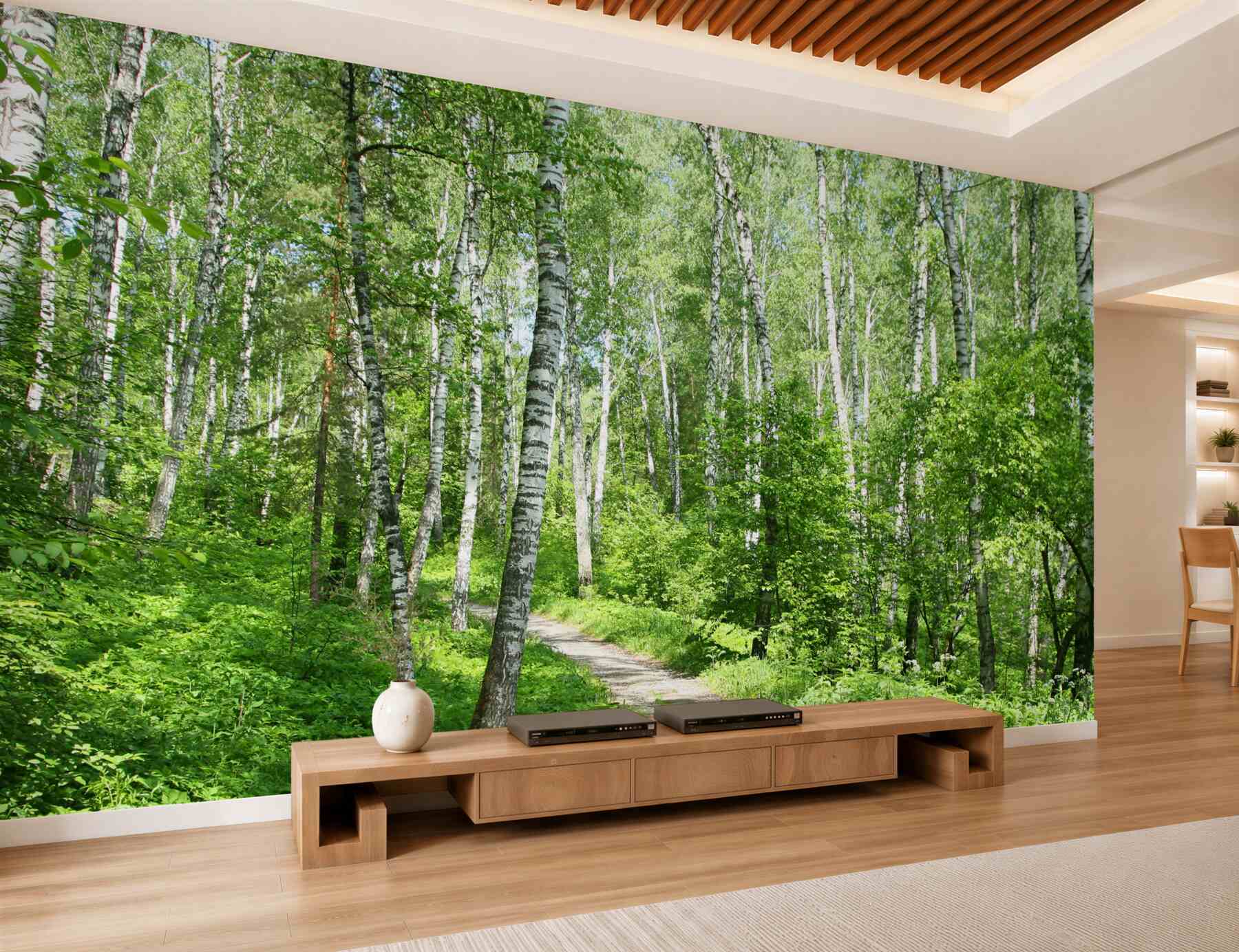 Fotobehang pad in de berkenboomgaard in de zomer