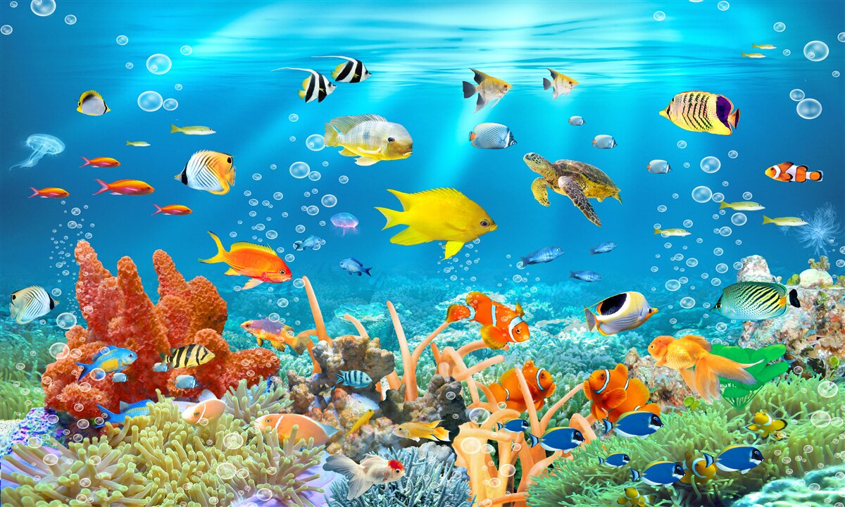Fotobehang gloeiende onderwaterwereld