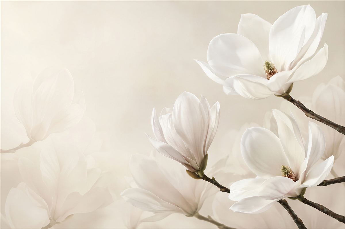 Fotobehang bloemen vaag, wit