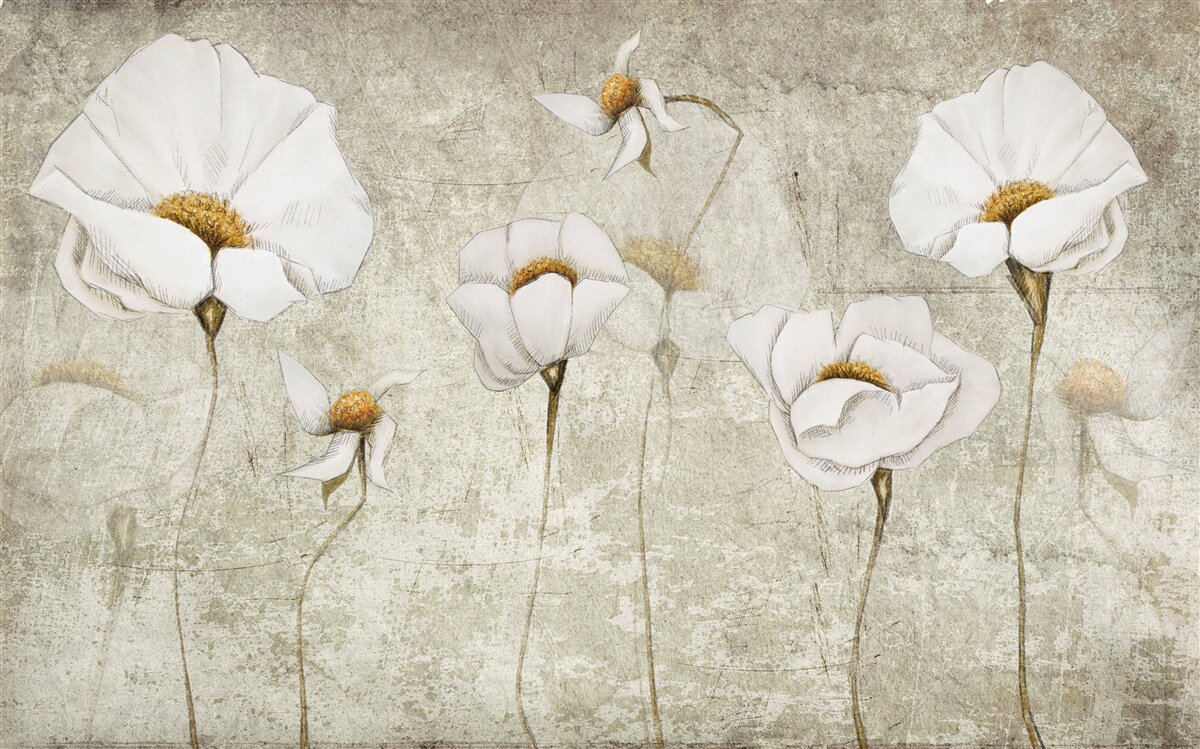 Fotobehang slanke witte bloemen op een veld
