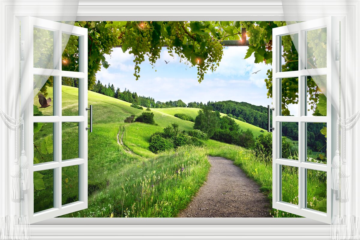 Fotobehang Natuur, eigendom en Groen
