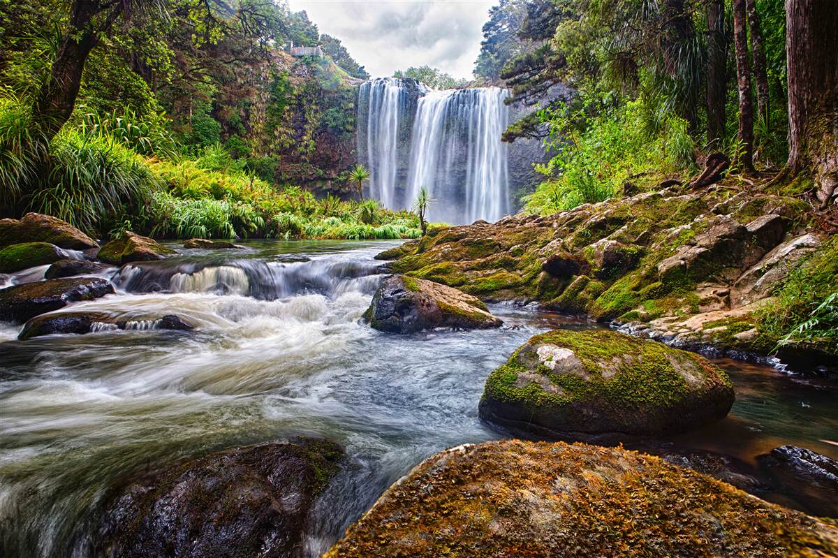 Fotobehang waterval in het groene bos