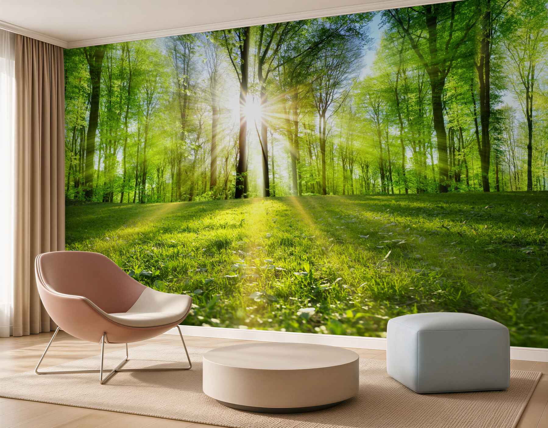 Fotobehang zonnestralen door de bomen