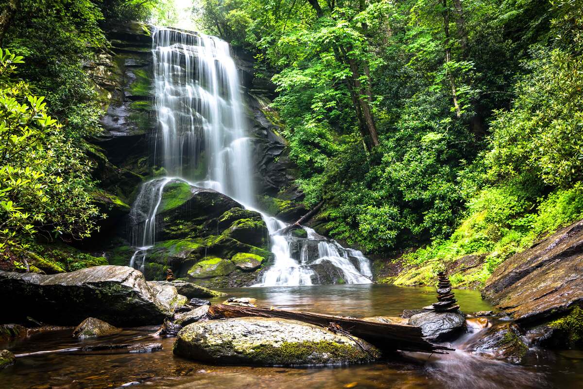 Fotobehang hoge waterval in een groene bos
