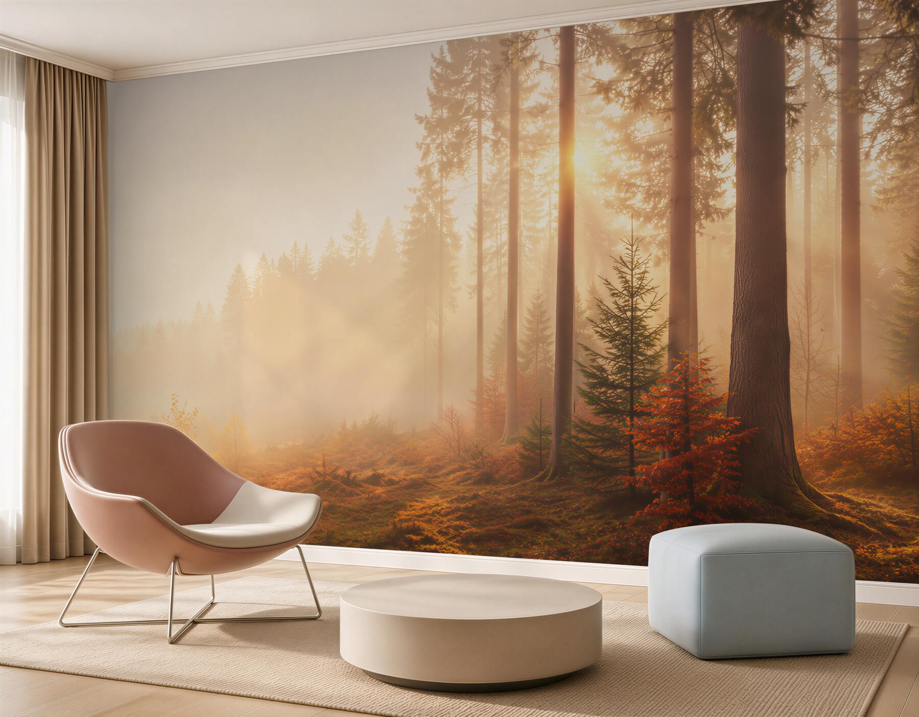 Fotobehang zon die het herfstbos doorkruist
