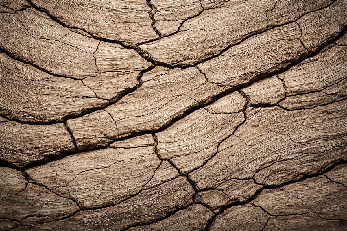 Fotobehang gebarsten aarde in natuurlijke structuur