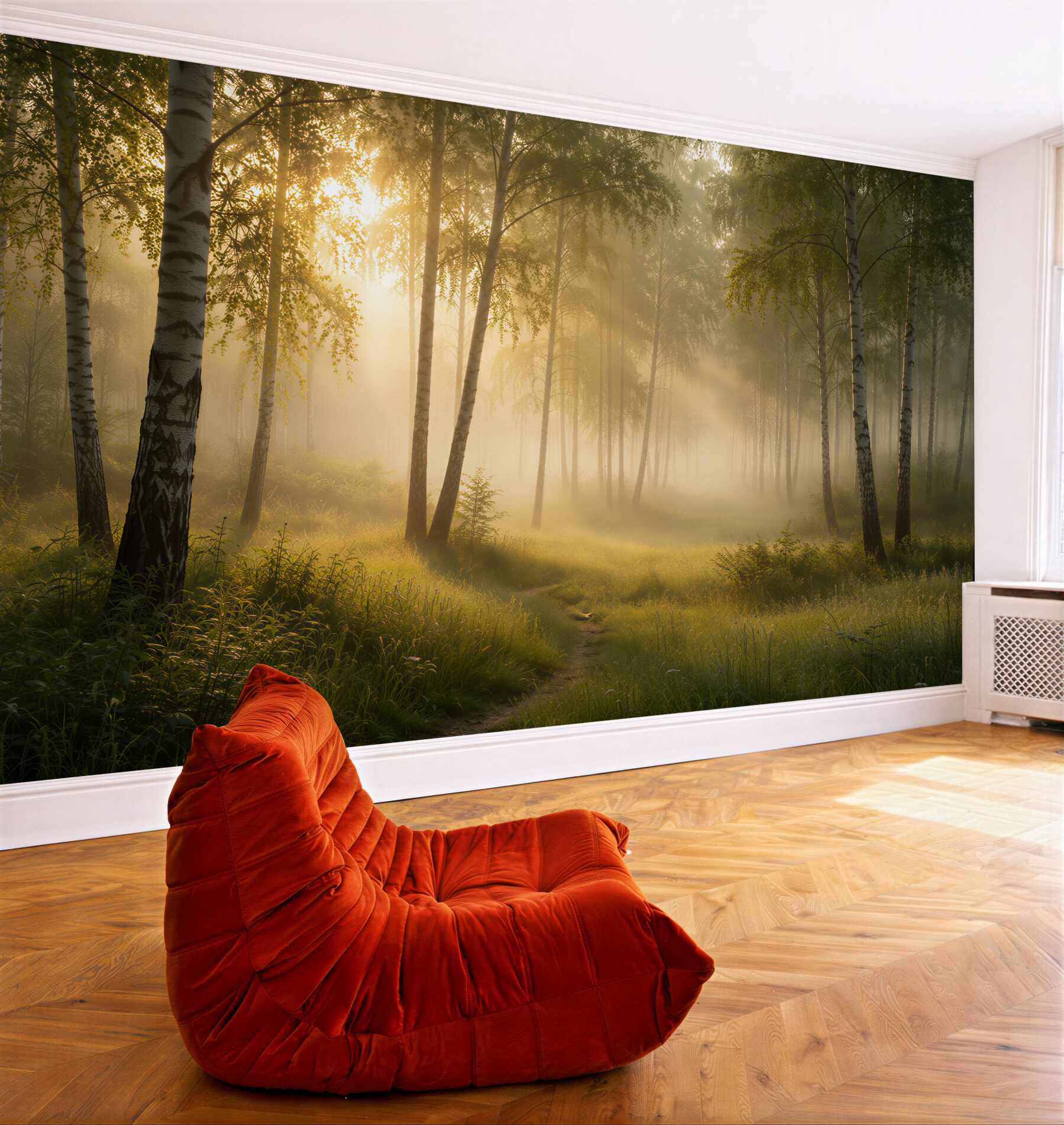 Fotobehang berkenbos in de mist bij zonsopgang