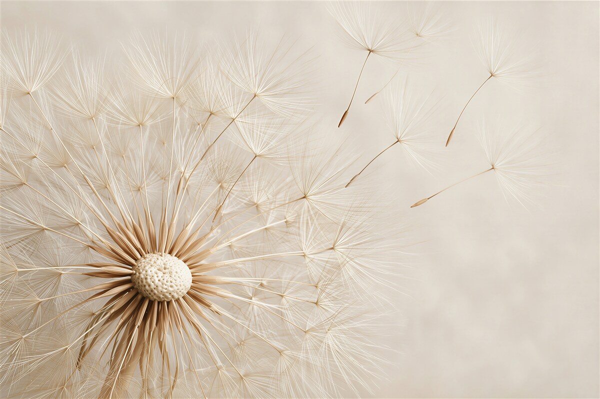 Fotobehang de wind waait over de paardenbloem bloemen