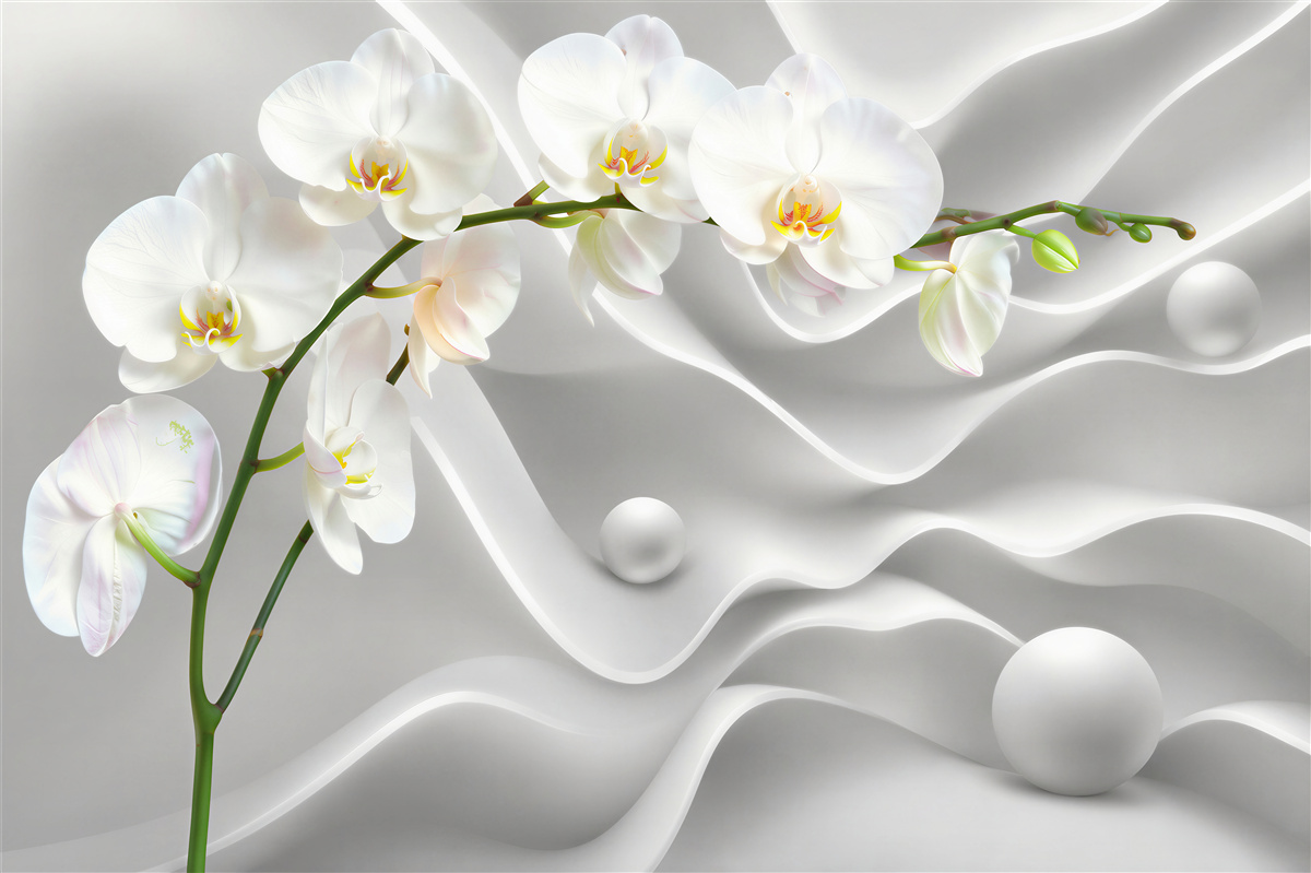 Fotobehang witte orchidee op een grijze achtergrond