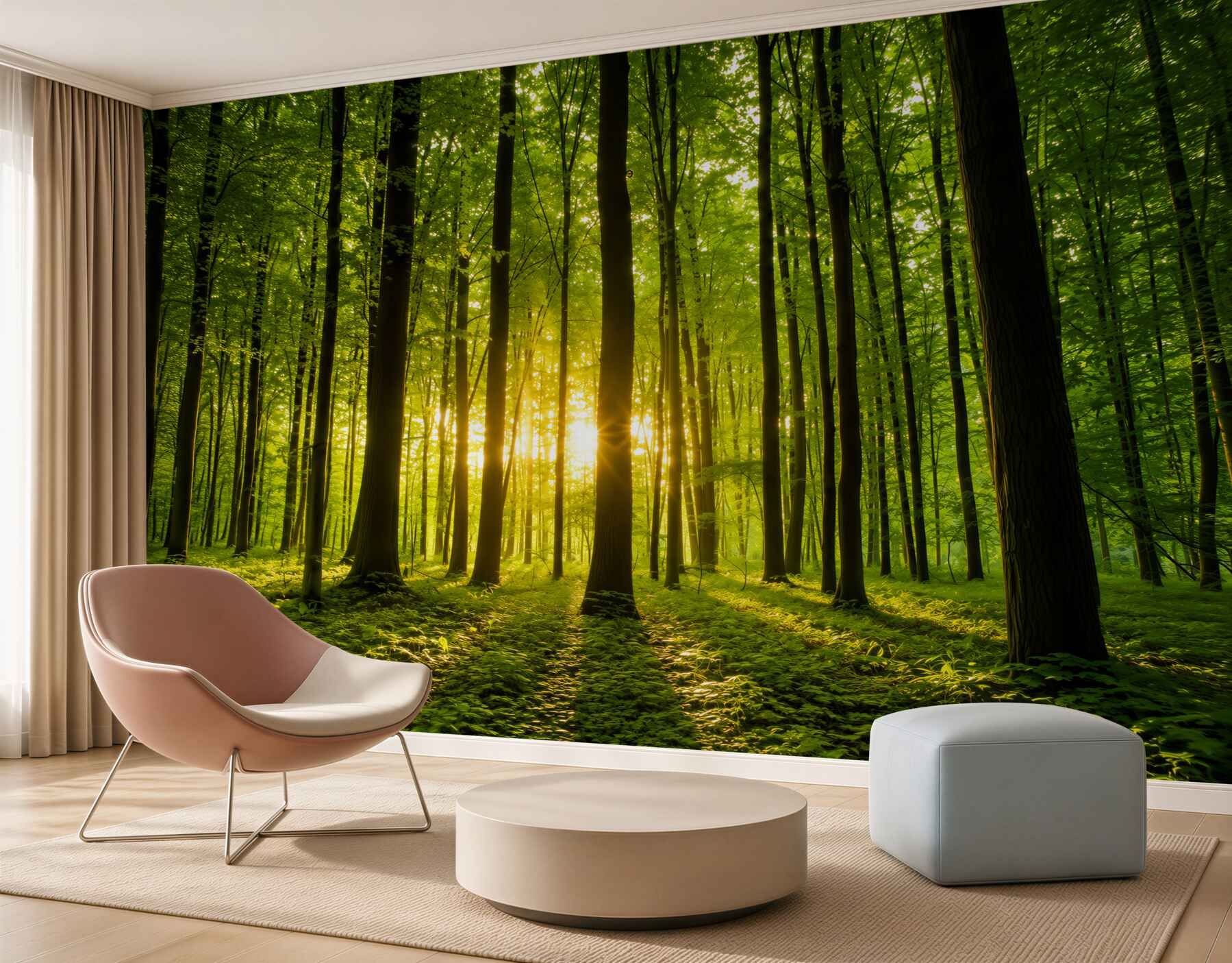 Fotobehang zonnestralen die een slanke bos doorkruisen