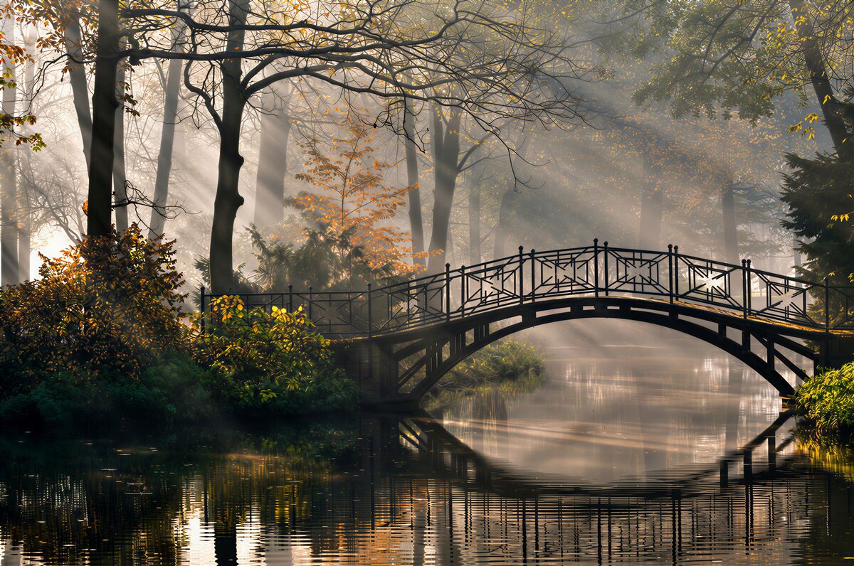 Fotobehang houten brug boven een meer in een mistig bos