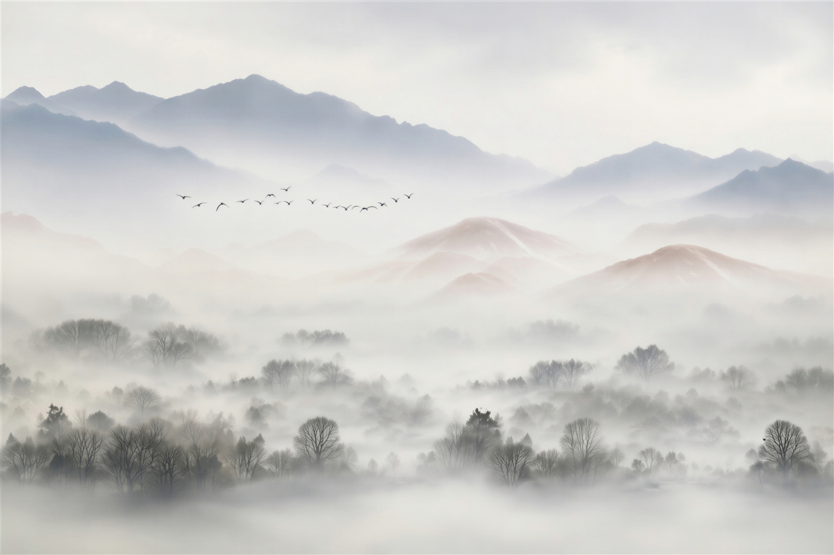 Fotobehang dikke en koude mist omhult de bergen