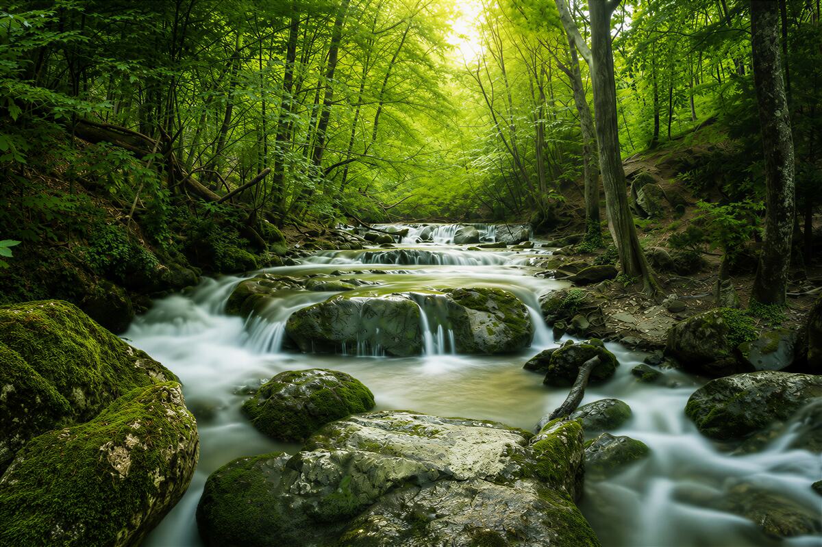Fotobehang rustige wateren van een waterval in een groen bos