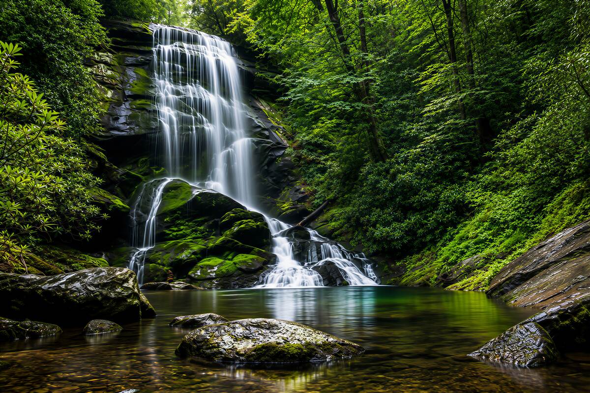 Fotobehang water dat van een bergwaterval in het bos valt