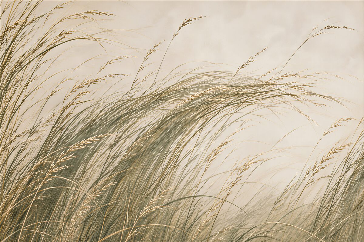 Fotobehang gras in de wind
